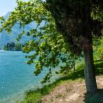 Anni, Calavino, Gewässer, Lago Toblino, Lago di Toblino, See, TN, Toblino, Toblino See, Toblinosee, Trentino, lago, lake