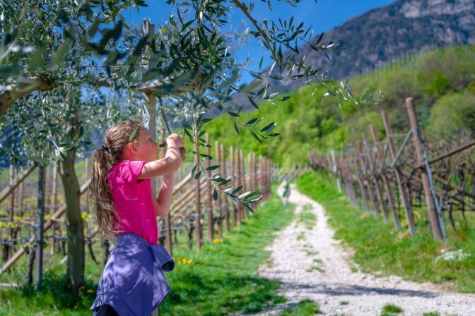 20220417121407-_8503638