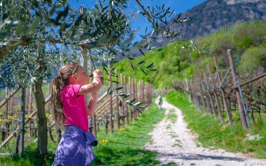 20220417121407-_8503638