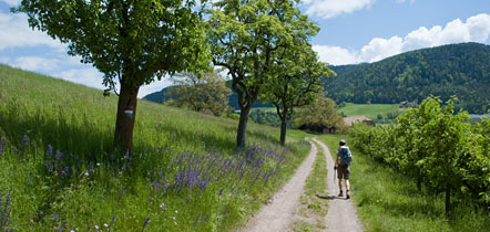 Kurz vor dem Spronberger Hof