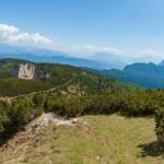 Mendelkamm, Schwarzer Kopf