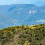 Berggipfel, Gipfel, Gipfelkreuz, Schwarzer Kopf, Spitze, peak, piz, summit