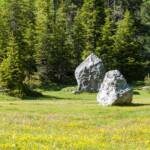 Alm, Almmatte, Almwiese, Almwiesen, Alpe, Fels, Felsen, Gestein, Matte, Pra da Ri, Weide, Wiese