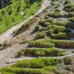 Serpentine, Steig, Wanderweg, Weg, cammino, sentiero, wandern, way