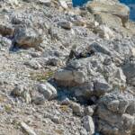 Bergeinsamkeit, Einhalt, Pause, Rast, Ruhe