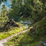 Pfad, Steig, Waldweg, Wanderweg, path, sentiero, wandern