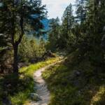 Pfad, Steig, Waldweg, Wanderweg, path, sentiero, wandern