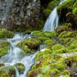 Abkühlung, Bach, Frische, Moos, Ruhe