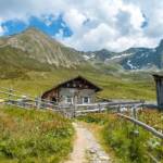 Alm, Hirzer, Matte, Punta Cervina, Weide