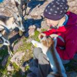 Fauna, Tiere, Ziege, Ziegen, Ziegenartige, capra, geiss, geissen, goat