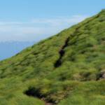 Corno nero, Schwarzhorn, Wanderweg, Weg, Wiese, Wiesenweg, cammino, sentiero, way