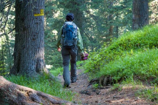 Ein zauberhafter Wanderpfad