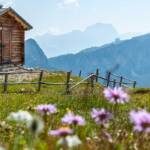 5 Türme, 5 torri, Cinque Torri, Fünf Türme, Hütte, Sorapis, Sorapiss, Sorapiss Gruppe, Sorapisstock, baita, cabana, cabin, capanna, chalet, hut