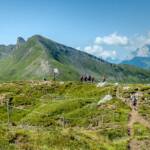 Blutberg, Col di Lana, Col di Sangue