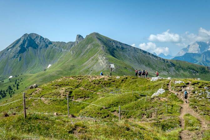 Blutberg, Col di Lana, Col di Sangue