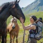 Anni, Fauna, Pferd, Pferde, Ross, Tiere, cavallo, equino, horse