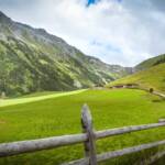 Alm, Matte, Schliniger Alm, Weide