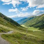 Alm, Almmatte, Almwiese, Almwiesen, Alpe, Matte, Wanderweg, Weg, Weide, cammino, sentiero, way