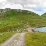 Bergsee, See, Sesvenna Hütte, lago, lake