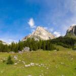 Alm, Berg, Berge, Brenta, Brenta Dolomiten, Cima Omet, Cima Uomo, Cima Vallina, Dolomiti di Brenta, Malga Tuena, Matte, Naturpark Adamello Brenta, Nonsberg, Nonstal, TN, Trentino, Tuenno, Val di Non, Valle di Non, Weide