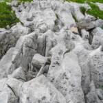 Fels, Felsen, Gestein, Nonsberg, Nonstal, Val di Non, Valle di Non