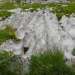 Fels, Felsen, Gestein