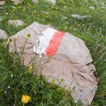 Gestein, Markierung, Wandermarkierung, Wanderwegmarkierung, Wegmarkierung, Wiese