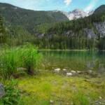 Lago di Tovel, See, Tovelsee, Ufer, lago, lake