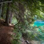 Lago di Tovel, Pfad, See, Tovelsee, Wanderweg, Weg, cammino, lago, lake, path, sentiero, way