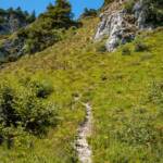 Hang, Pfad, Wanderweg, path, sentiero