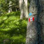 Markierung, Wandermarkierung, Wanderwegmarkierung, Wegmarkierung, Wegnummer