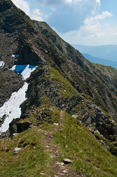 Berggrat im Passeiertal
