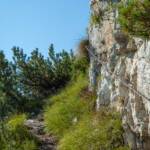 Pfad, Steig, Wanderweg, Weg, cammino, path, sentiero, way