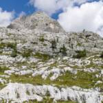 Adamello Brenta, Berg, Berge