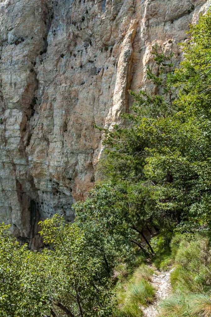 Der Steig ist nicht ganz ohne.