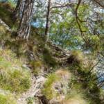 Wandersteig, Wanderweg, Weg, cammino, sentiero, way