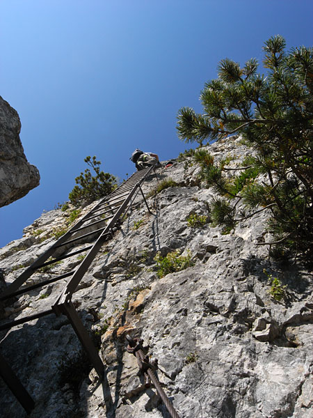 Leiter im Klettersteig Gaetano Falcipieri