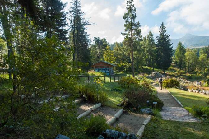 Giardino Botanico Viote am Monte Bondone