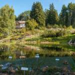 Botanischer Garten, Brücke, Feuchtbiotop, Teich