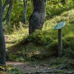 Erlebniswanderweg, Erlebnisweg, Lehrpfad, Lehrweg, Naturerlebnisweg, Naturlehrpfad, Waldweg, Weg, cammino, way