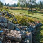 Alpengarten, Garten, Steingarten