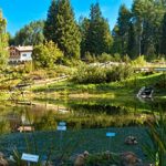 Botanischer Garten am Monte Bondone