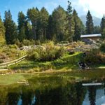 Botanischer Garten am Monte Bondone