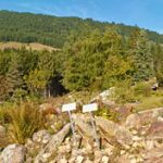 Botanischer Garten am Monte Bondone
