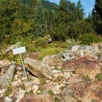 Botanischer Garten am Monte Bondone