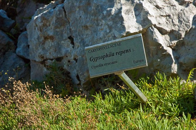 Giardino Botanico Viotte am Monte Bondone