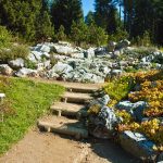 Botanischer Garten am Monte Bondone