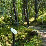 Botanischer Garten am Monte Bondone