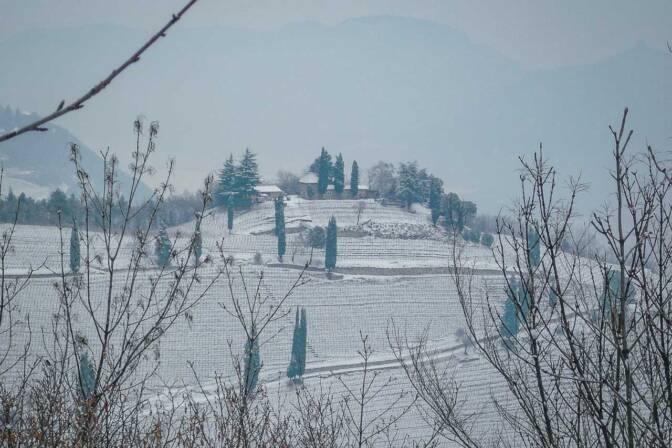 Kastelatz Hügel - Weinhügel über Tramin