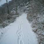 Kastelazweg, Schnee, Winter, inverno, weiße Jahreszeit, winter